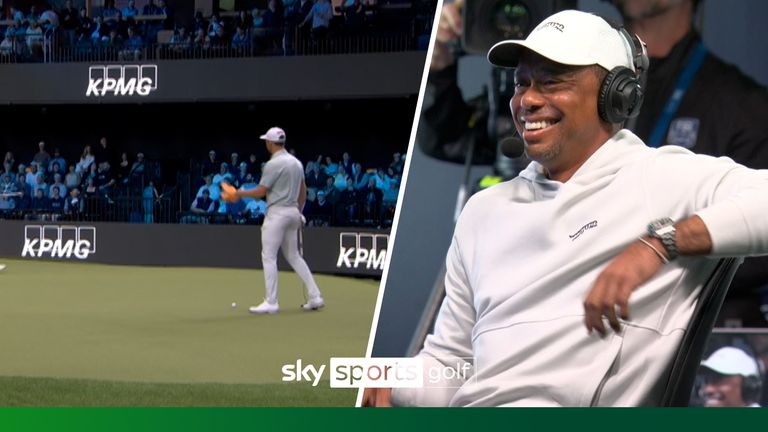 的表现帮助 的表现帮助